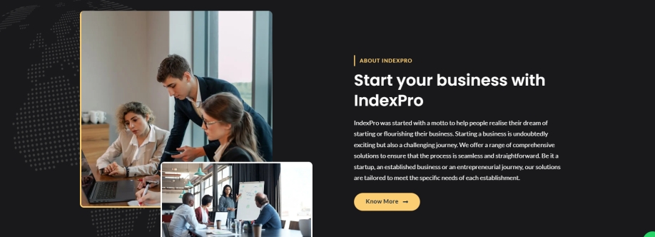 Index Pro Cover Image