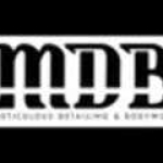 Meticulous Detailing profile picture