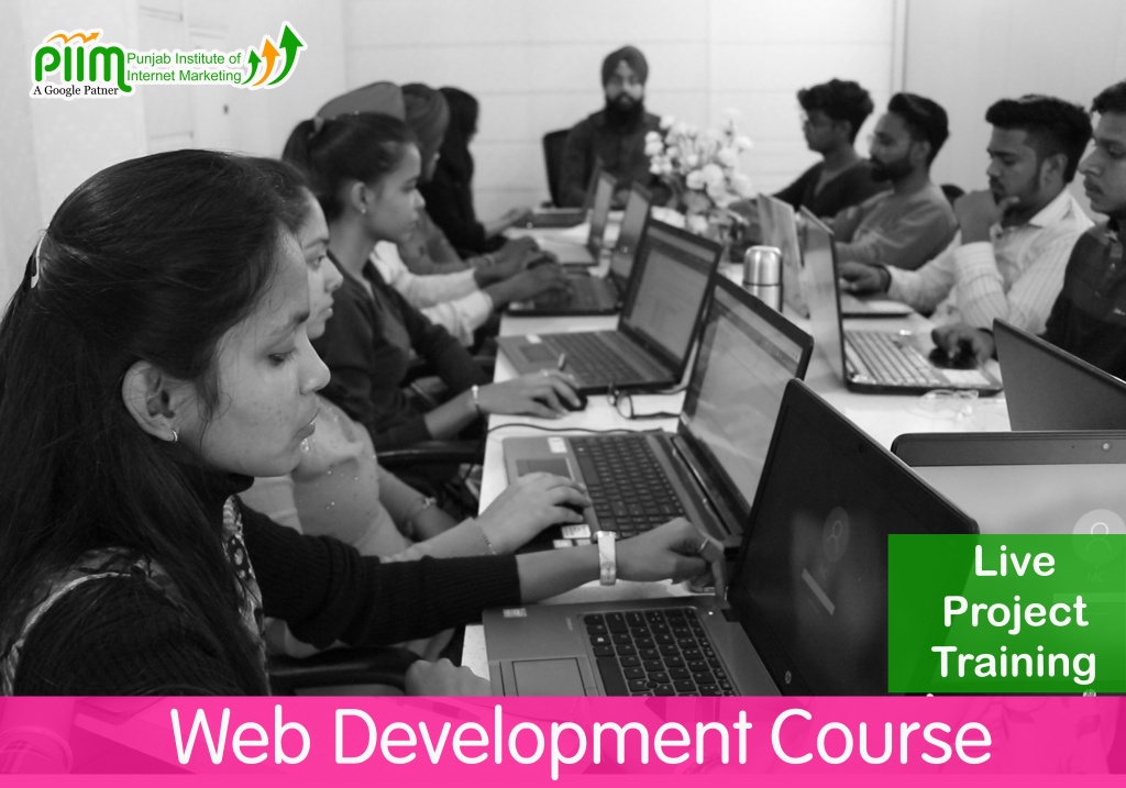 Web Development Course in Patiala | PIIM | Contact us at +91 9216041313