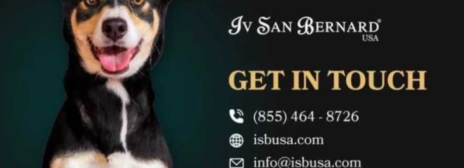 Iv San Bernard USA Cover Image