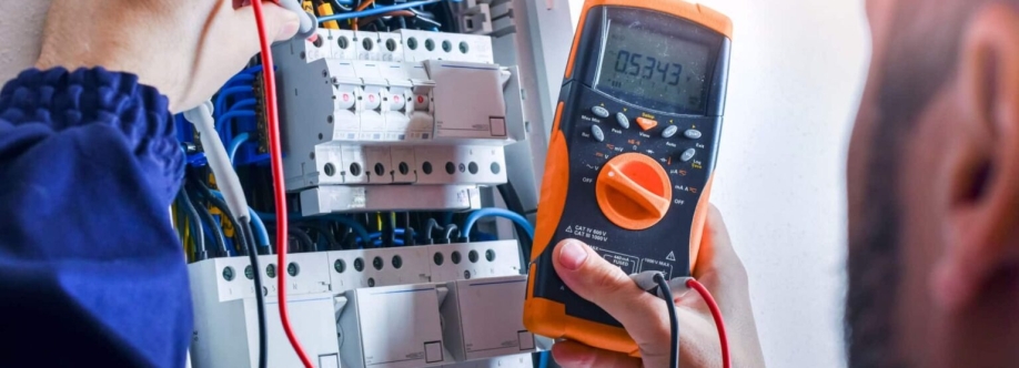 DW Elektro AS Cover Image