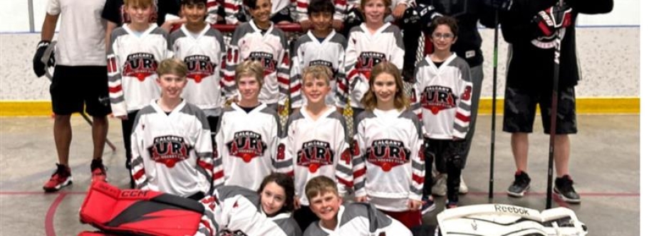 Shawn Galarneau Cover Image