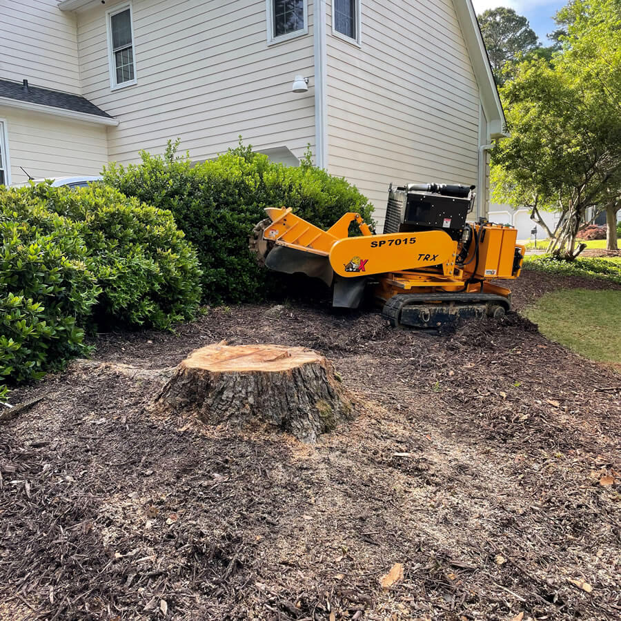 Stump Grinding Canberra | Spitting Chips