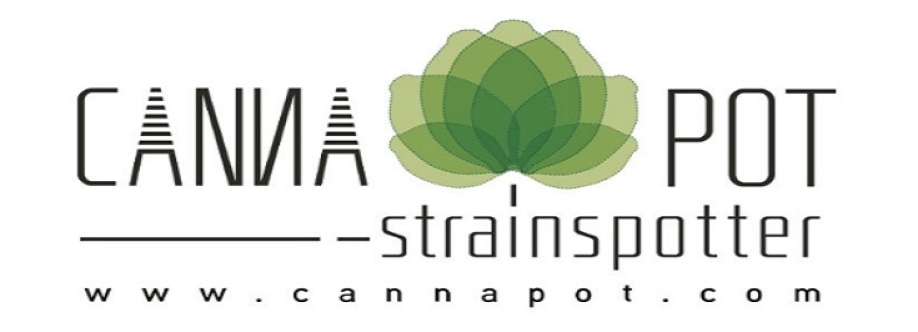 Cannapot Cover Image