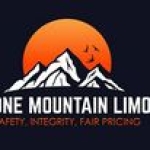 Lone Mountain Limo profile picture