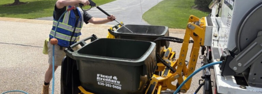 American Bin Cleaning Cover Image