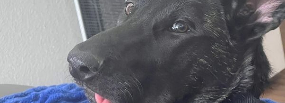 Justice for Leia Cover Image