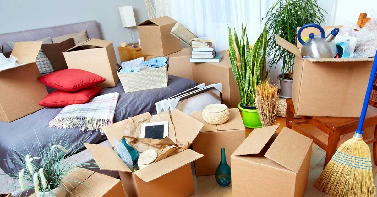 Pet Proof Your New Home Pre-Shifting with Packers and Movers in Bhubaneswar