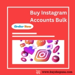 Buy Instagram Accounts Bulk profile picture