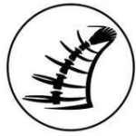 Finkey Jewelry profile picture