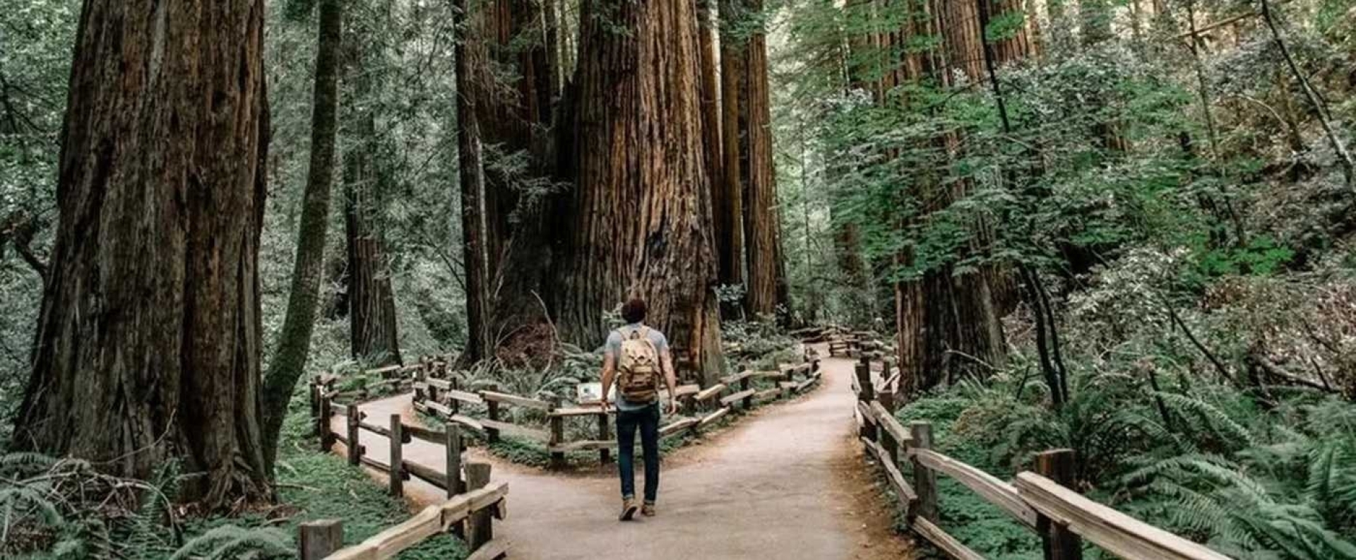 Abbotsford Valley Counselling Cover Image