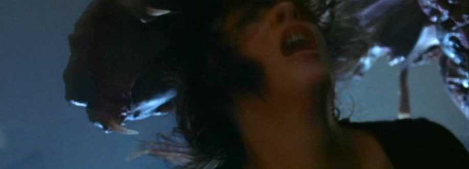 New Guinea Echidna Cover Image