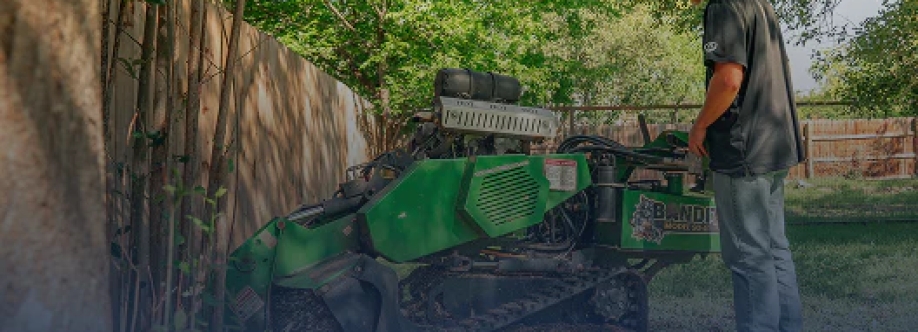 Project Connections Cover Image