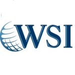 WSI Internet Partners profile picture