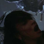 New Guinea Echidna profile picture