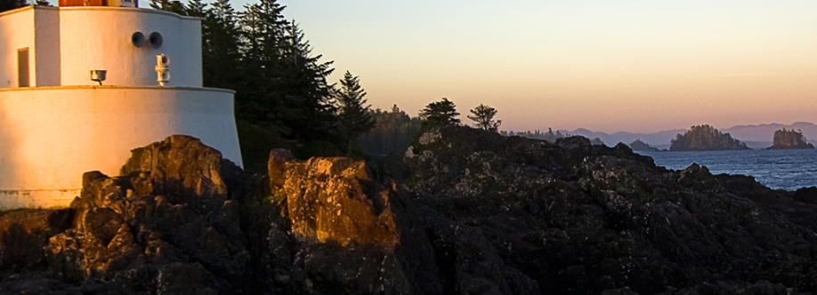 New Guinea Echidna Cover Image