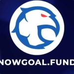 Nowgoal Nền Tảng Phân Tích Tỉ Lệ Và Dữ Liệu Bóng Đá Hà profile picture