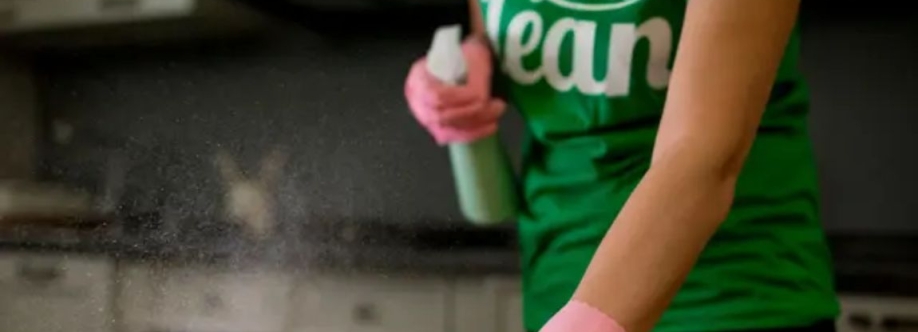 Get Set Clean Cover Image