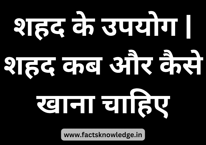 10+ Remedy शहद से मर्दाना ताकत | Honey benefits in hindi