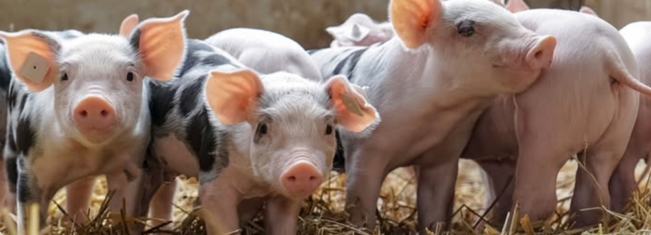 7 Hill Farms Cover Image