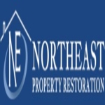 Northeast Restore profile picture