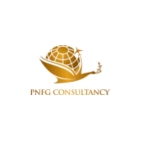 PNFG CONSULTANCY profile picture