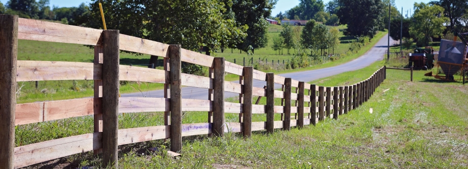 Scheiderer Fencing Cover Image