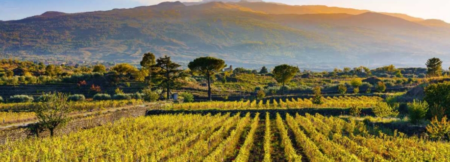 James Morgan Cover Image