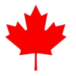 findgcms notes profile picture