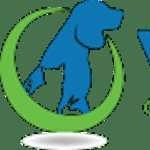 Vet Vacation CE profile picture