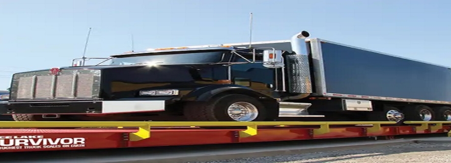 Scales Sales and Service Cover Image