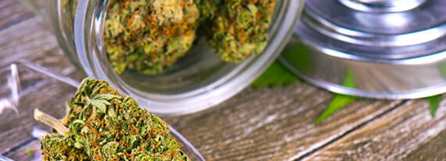 Green Therapy Cover Image