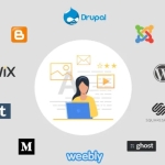 iON Digital Zone profile picture