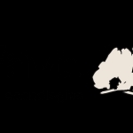 SoftWave Long Island profile picture