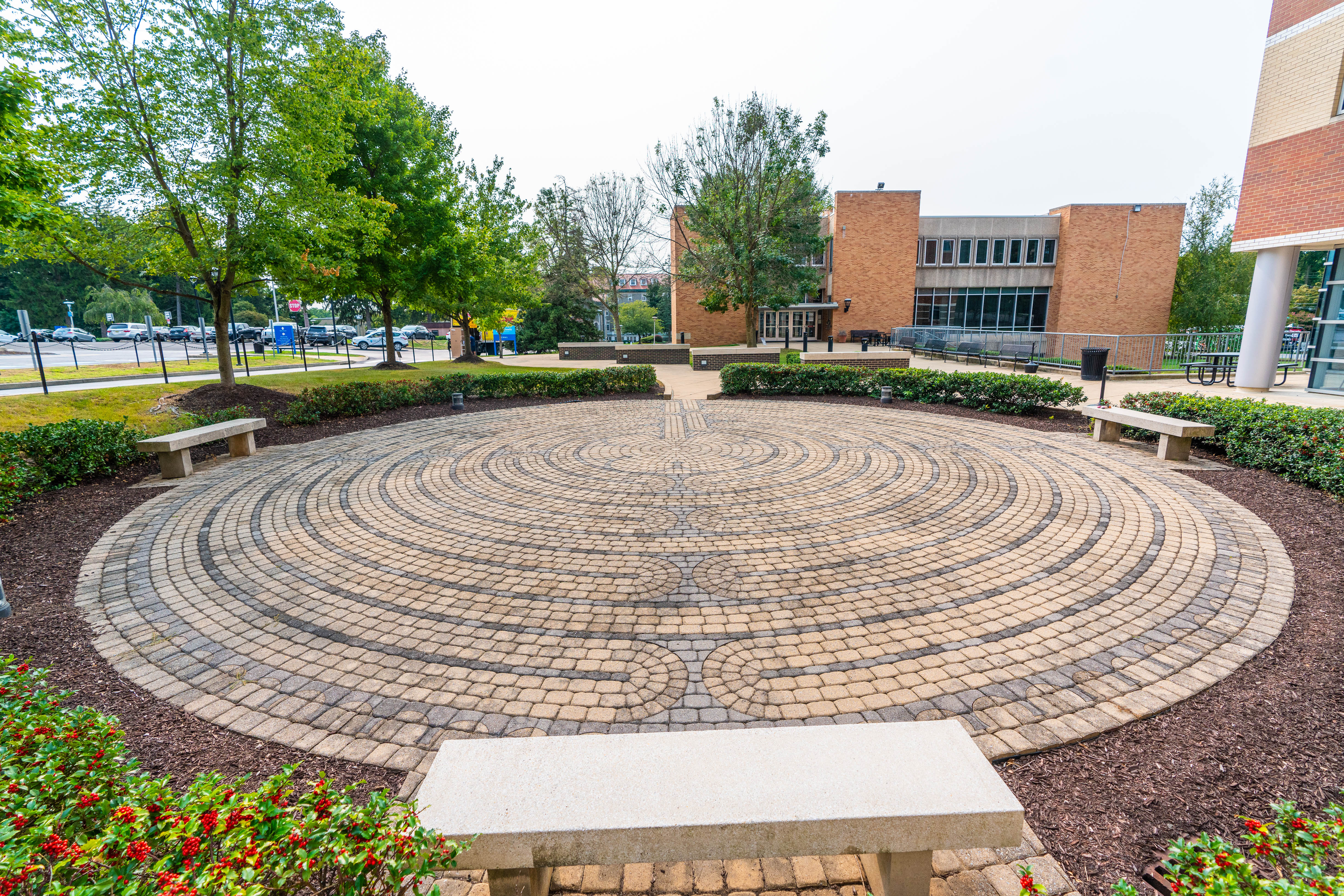 Honors Program | Holy Family University