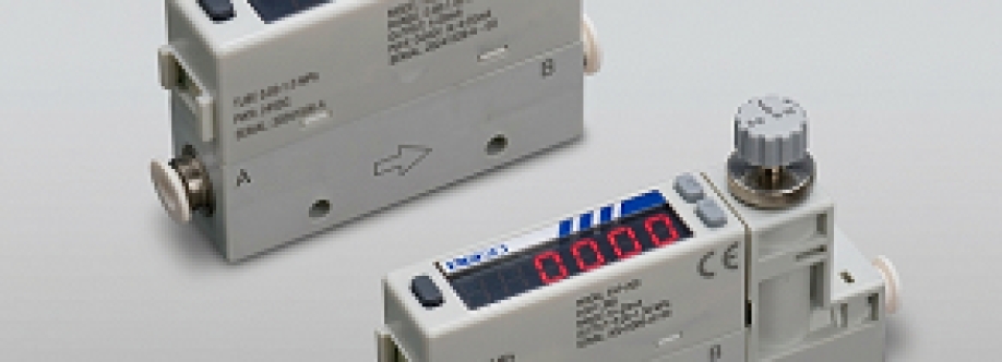 DAS Services Inc Cover Image