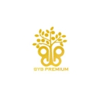 bybpremium profile picture