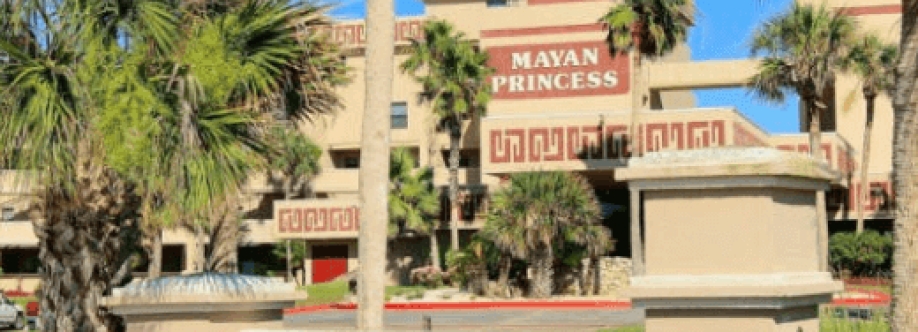 The Mayan Princess Cover Image