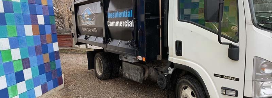 The Junk Express Cover Image