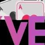 apkverse profile picture