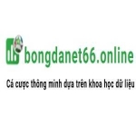 BongdaNET 66 Online profile picture