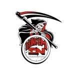 bringemininvestigations profile picture