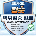 kingshoot profile picture
