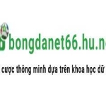 BongdaNET 66 Hu Net profile picture