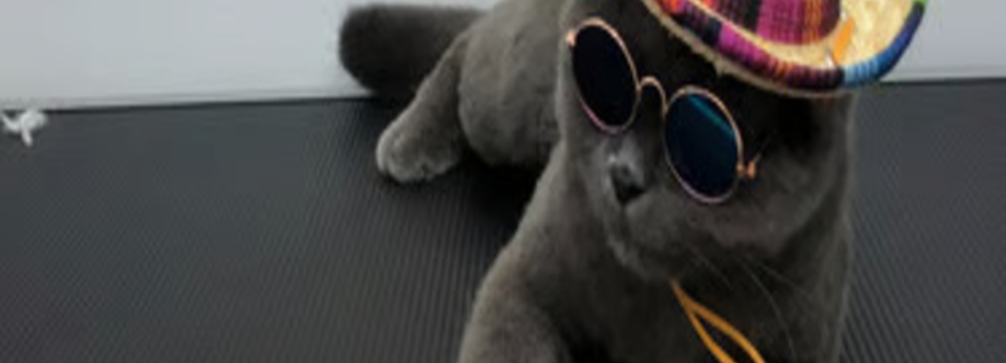 Fluffy Tails Stuff Cover Image