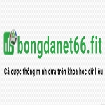 BongdaNET 66 Fit Fit profile picture