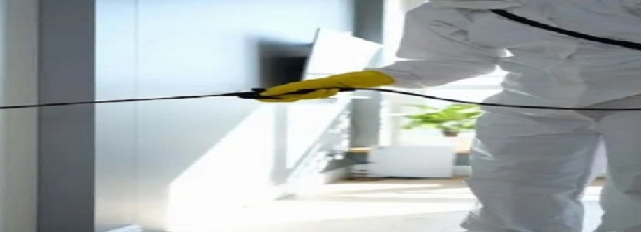 Mould Medico Cover Image