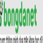 ZOWIN profile picture