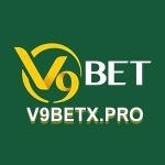 V9Bet profile picture