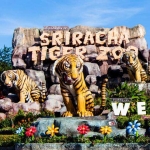 Tiger Topia Sriracha Zoo profile picture